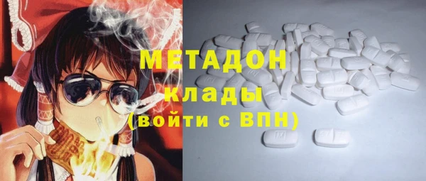 прущие грибы Алзамай