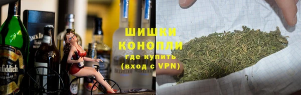 соль ск Алексин