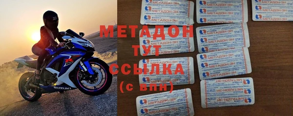 прущие грибы Алзамай