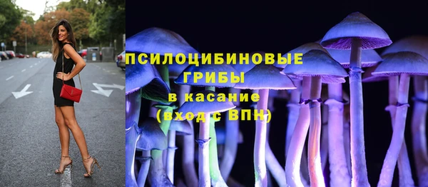 соль ск Алексин