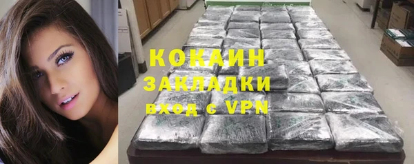прущие грибы Алзамай