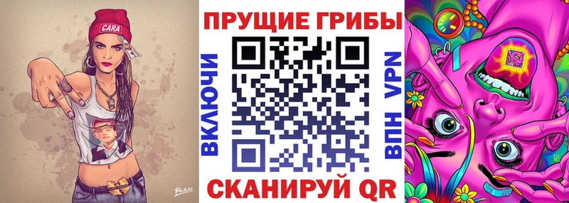 Псилоцибиновые грибы мицелий  цена наркотик  kraken tor  Биробиджан 