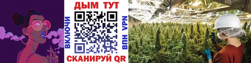 Канабис ГИДРОПОН  Биробиджан 